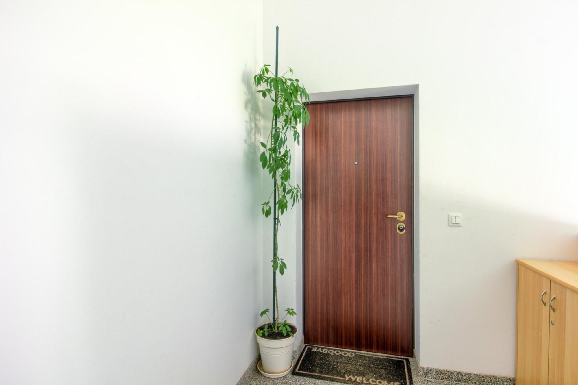 Apartments Zara Zewnętrze zdjęcie